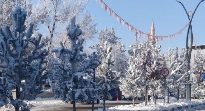 Aşkale de termometre eksi 33 ü gösterdi