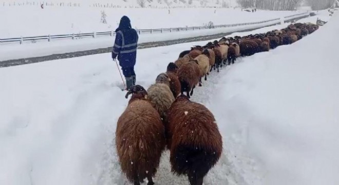 Besicilerin zorlu kış mesaisi