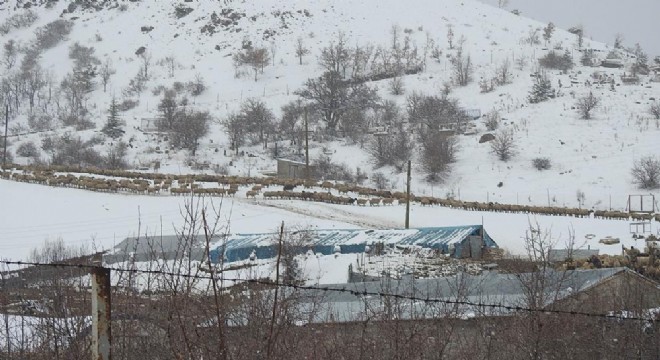 Doğu Anadolu köylerinde kış mesaisi sürüyor