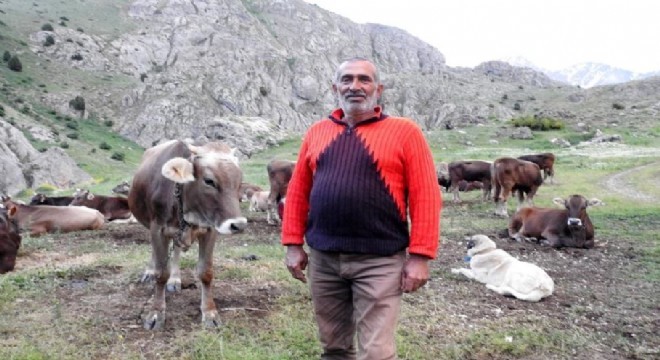 Doğu Anadolu’da büyüleyici yaban yaşamı