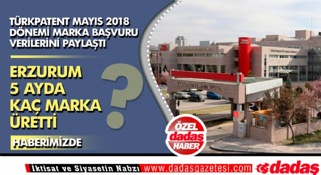 Erzurum 5 ayda kaç marka üretti?