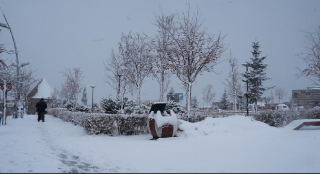 Erzurum'da kar yağışı etkili oluyor