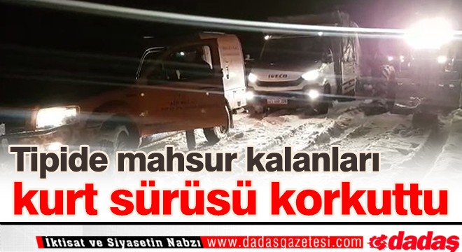 Erzurum da tipide mahsur kalanları kurt sürüsü korkuttu