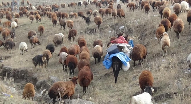 Göçerlerin zorlu yolculuğu başladı