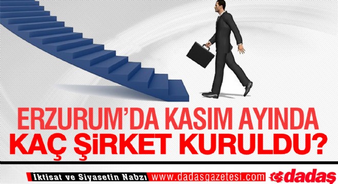 Kasım ayında Erzurum da kaç şirket kuruldu?