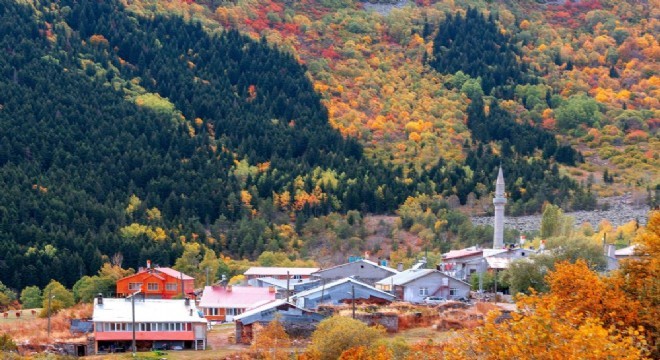 Posof Sakin Şehir adayı