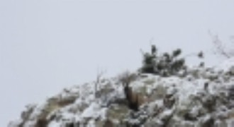 Av yasağı başladı